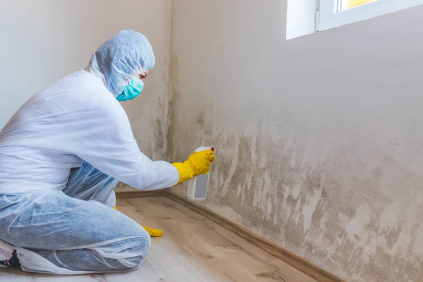 Licensed Commercial Mold Remediation service in Morristown, NJ - WQB Mold Removal