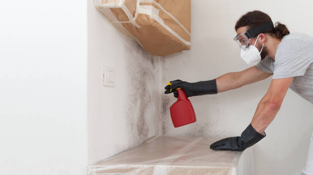 Professional Commercial Mold Remediation technician working in Morristown, NJ