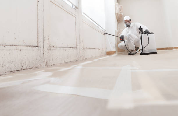 24/7 Emergency Commercial Mold Remediation experts in Morristown, NJ