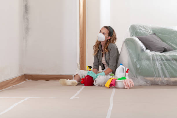 Reliable Commercial Mold Remediation contractor in Morristown, NJ by WQB Mold Removal