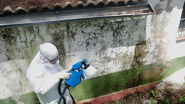 Top rated local Commercial Mold Remediation specialists in Morristown, NJ